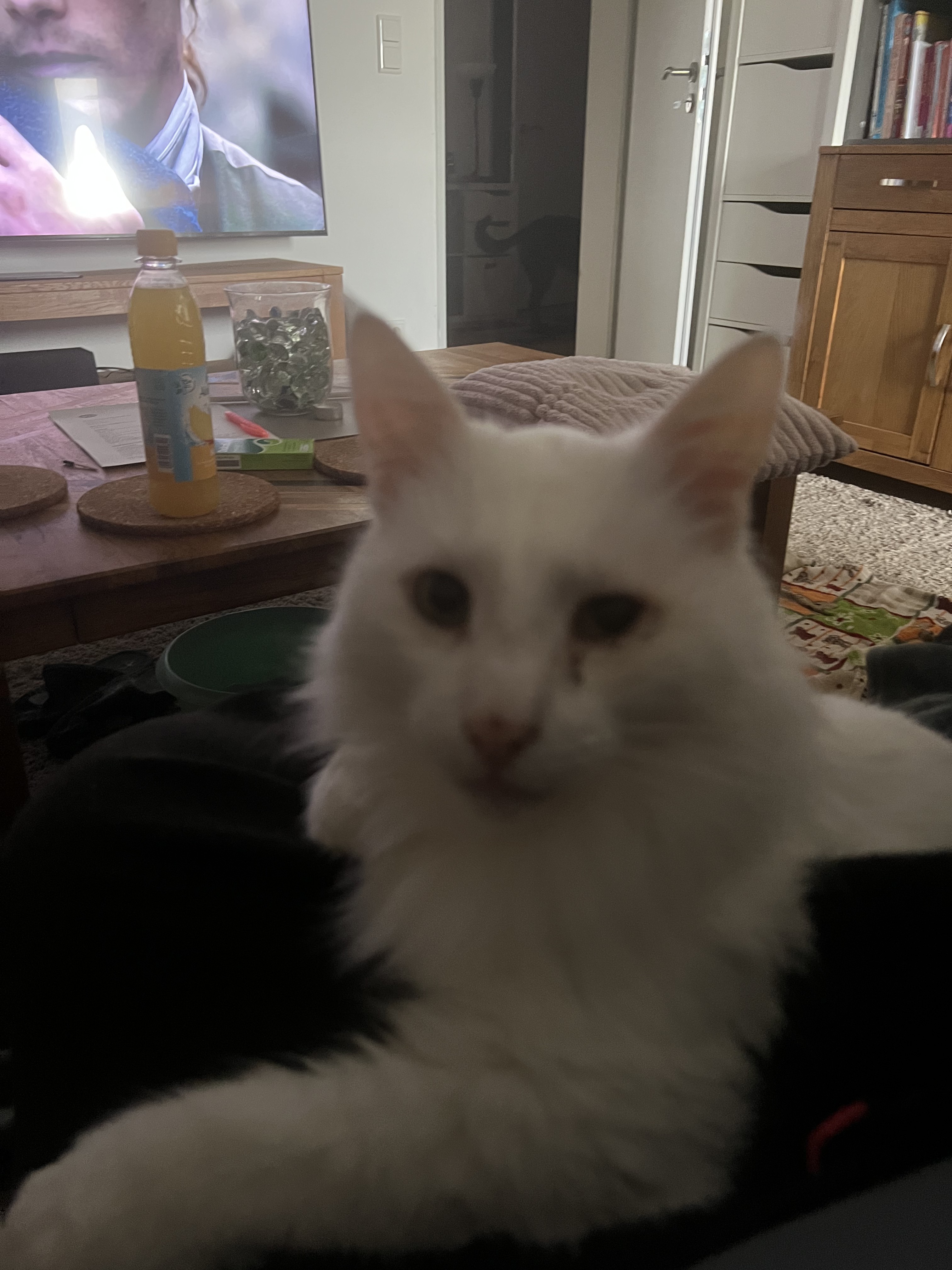 Gandalf